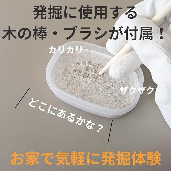 Amazon | 化石発掘体験キット（バラエティーセット）4個以上の化石入り